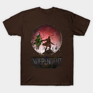 Battle of Serenity Valley - Vintage T-Shirt